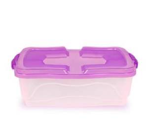 CAIXA ORGANIZADORA 12L PLASMONT TRANS180