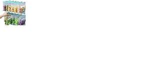 SACO REUTILIZAVEL VACUO DL 35X50CM 992